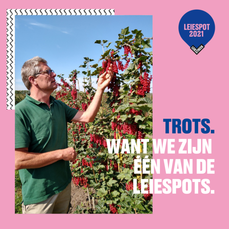 Leiespot 2021 Leiestreek