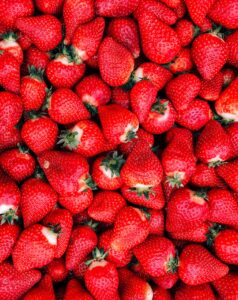 Nieuw in de pluktuin: aardbeien!