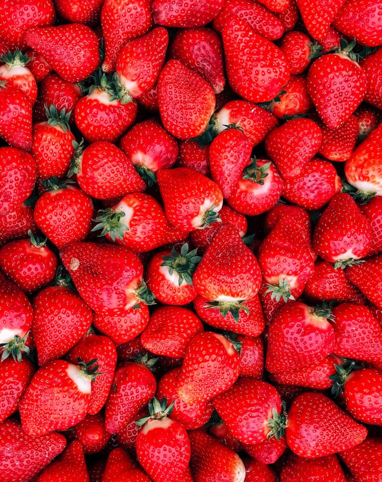 heel veel aardbeien